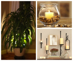 Indoor Plant Accent Light